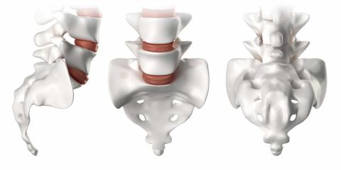 coxxyx tail bone