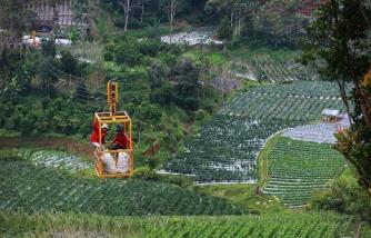 Gondola Pengangkut Hasil Panen di Daerah Berbukit